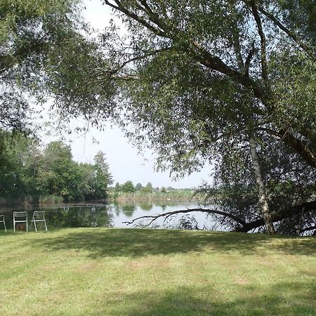 Ferienwohnungen Im Kunst.Haus Am See Doberlug-Kirchhain Luaran gambar