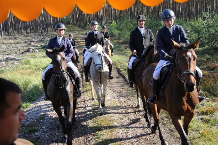 Ferienwohnungen Im Kunst.Haus Am See Doberlug-Kirchhain Luaran gambar